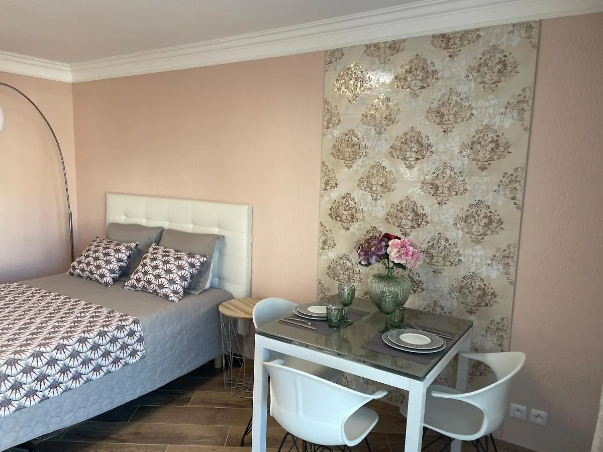Studio With Swimming Pool 80 Meters Near The Beach Nice